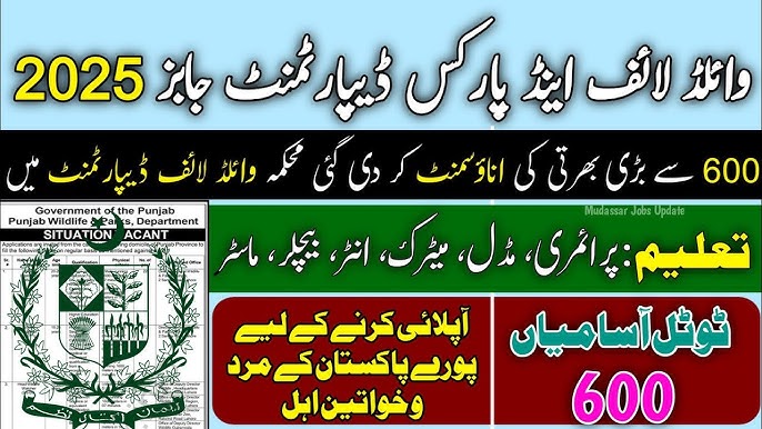 in Lahore jobs